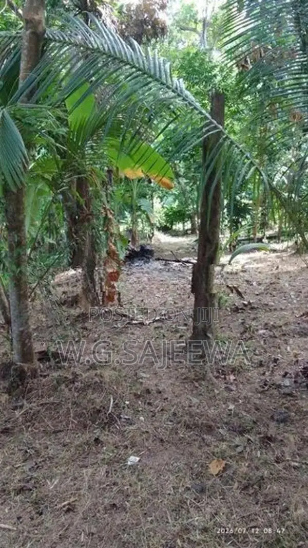 43 Perch Land for Sale in Katunayaka
