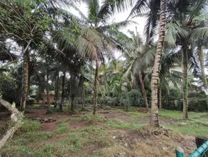 Land For Sale - Kalutara