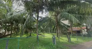 Land For Sale - Kalutara