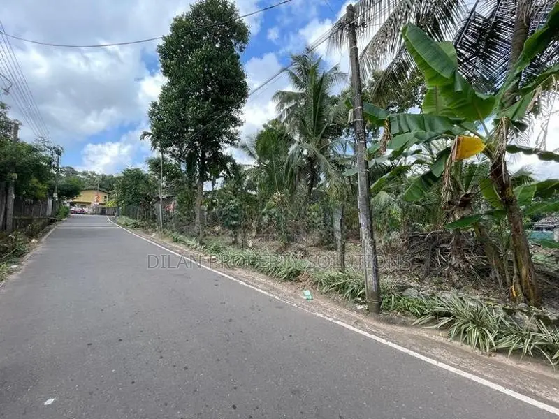 42 PERCHES BARE LAND FOR SALE – HALPITA, POLGASOWITA