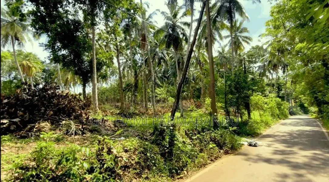 Picturesque Land Ffor Sale in Weboda