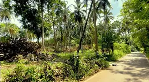 Picturesque Land Ffor Sale in Weboda