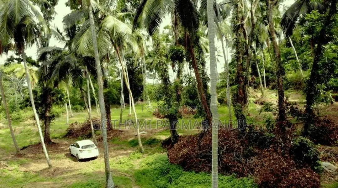 Picturesque Land Ffor Sale in Weboda