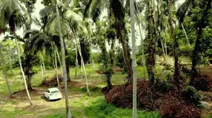 Picturesque Land Ffor Sale in Weboda