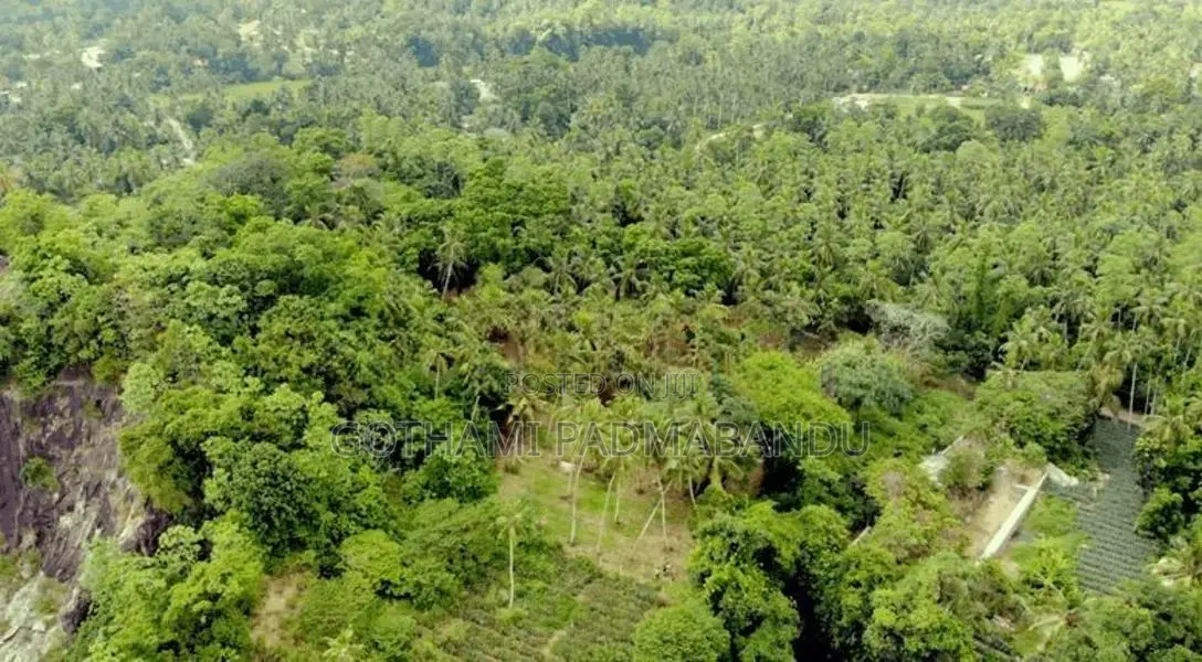 Picturesque Land Ffor Sale in Weboda