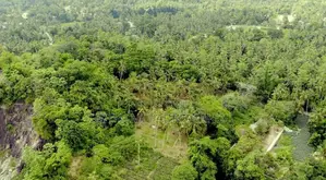 Picturesque Land Ffor Sale in Weboda