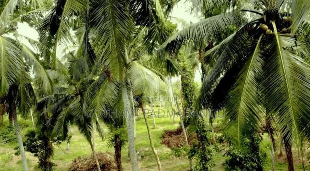 Picturesque Land Ffor Sale in Weboda