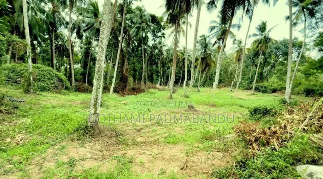 Picturesque Land Ffor Sale in Weboda