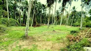 Picturesque Land Ffor Sale in Weboda