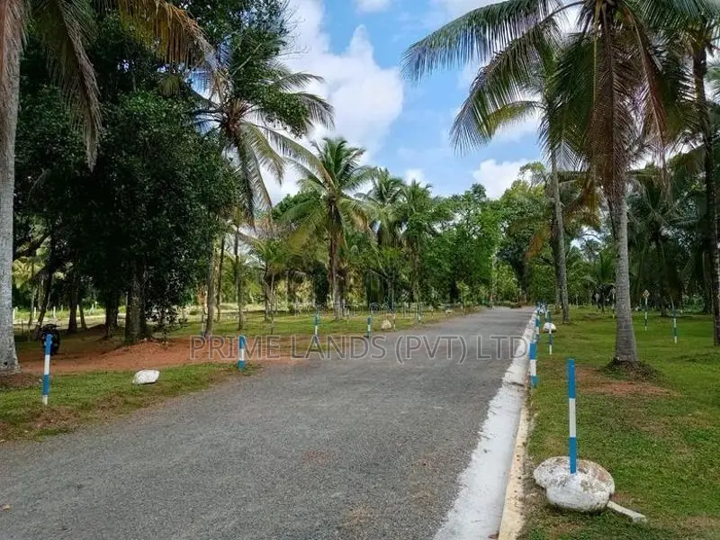 Land for Sale Veyangoda