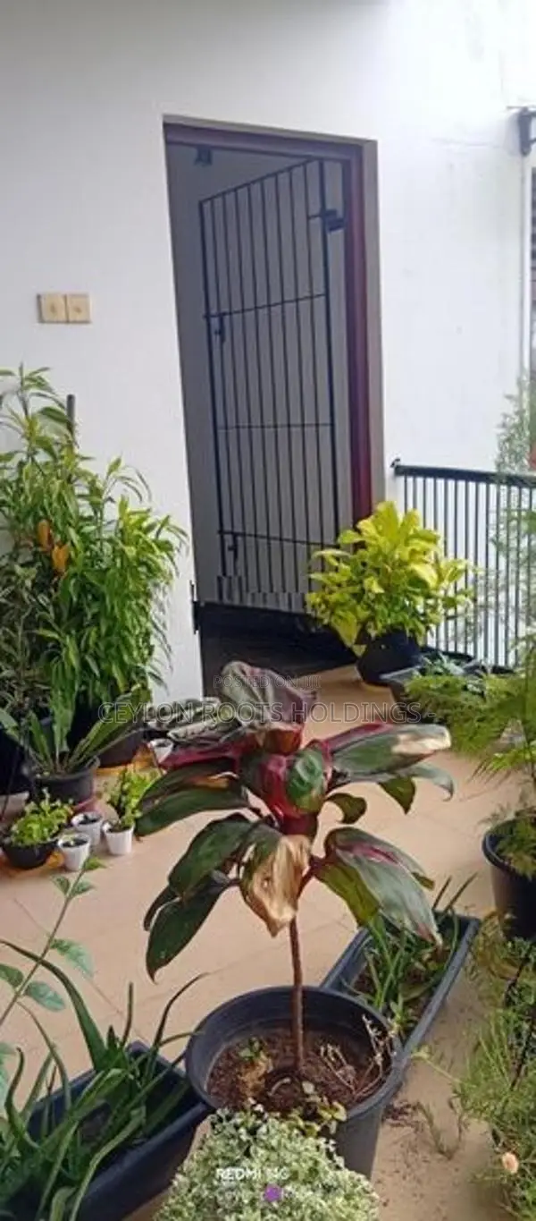Without Furniture 02nd Floor Beautiful House For Rent in Ethulkotte,