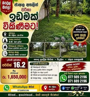 Luxury Land For Sale In Jaela - Maeliya