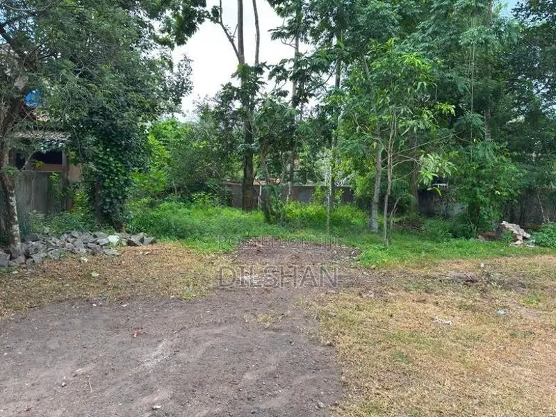 Luxury Land For Sale In Jaela - Maeliya