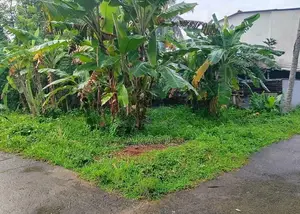 Land for Sale in Galle
