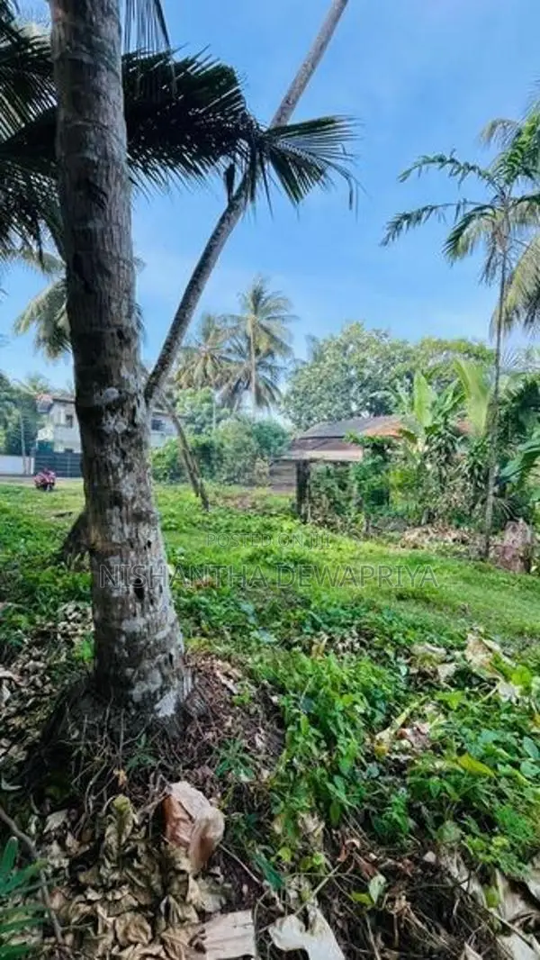 Land for Sale Kaluthara