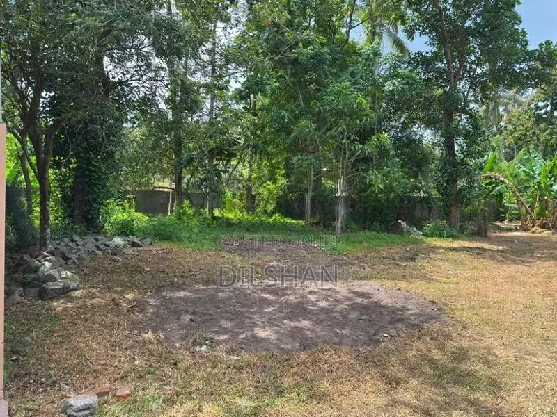 Luxury Land For Sale In Jaela - Maeliya