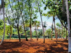 Midigama (Ahangama) Beach Side Land For Sale