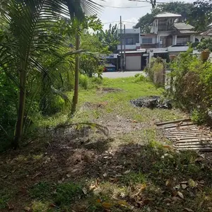 1. Prime Commercial Land – 255 Main Road Frontage | Bolgoda Lake Facin
