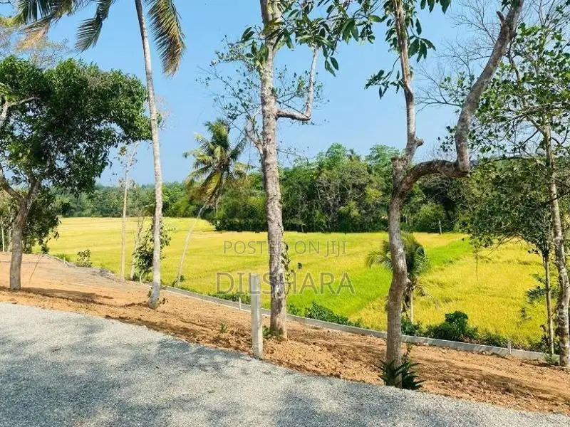 මාතර ටවුමට ලගින් වෙල් යායකට මුහුණලා ඉඩමක්