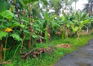 Land for Sale in Galle