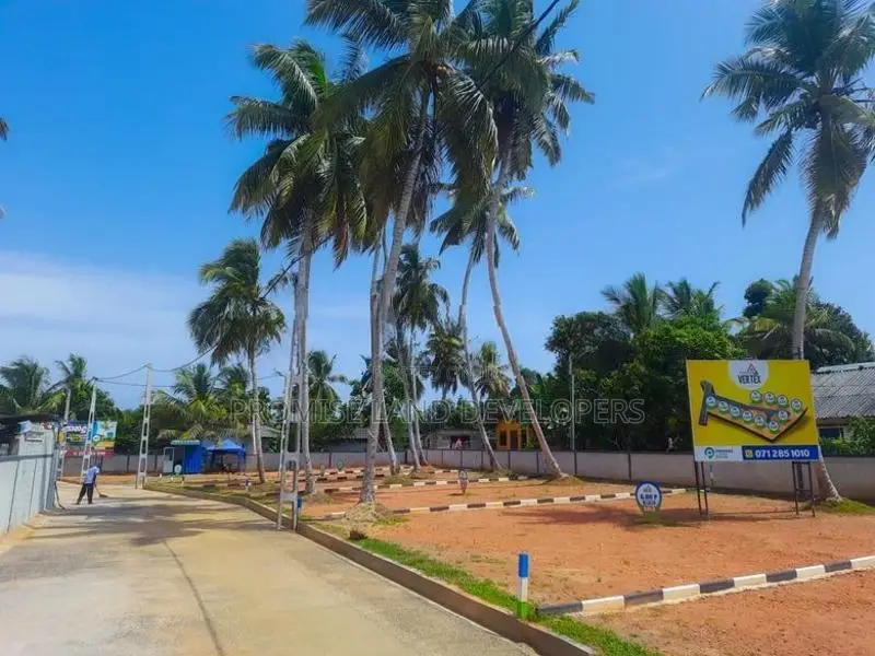 Panadura Walana 6 Perch Lands | Plots N38