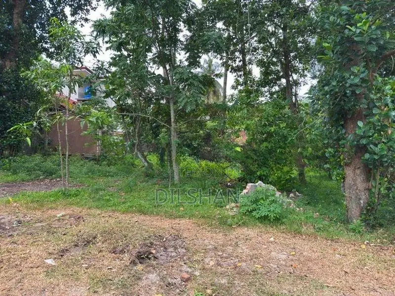Luxury Land For Sale In Jaela - Maeliya