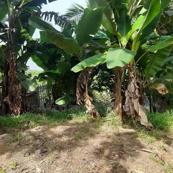 1. Prime Commercial Land – 255 Main Road Frontage | Bolgoda Lake Facin