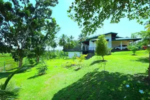 Facing Paddy field |Eco-friendly House for sale in Bandaragama