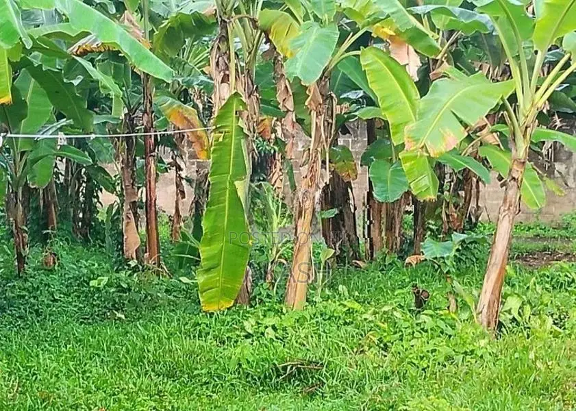 Land for Sale in Galle