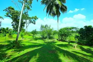 Facing Paddy field |Eco-friendly House for sale in Bandaragama