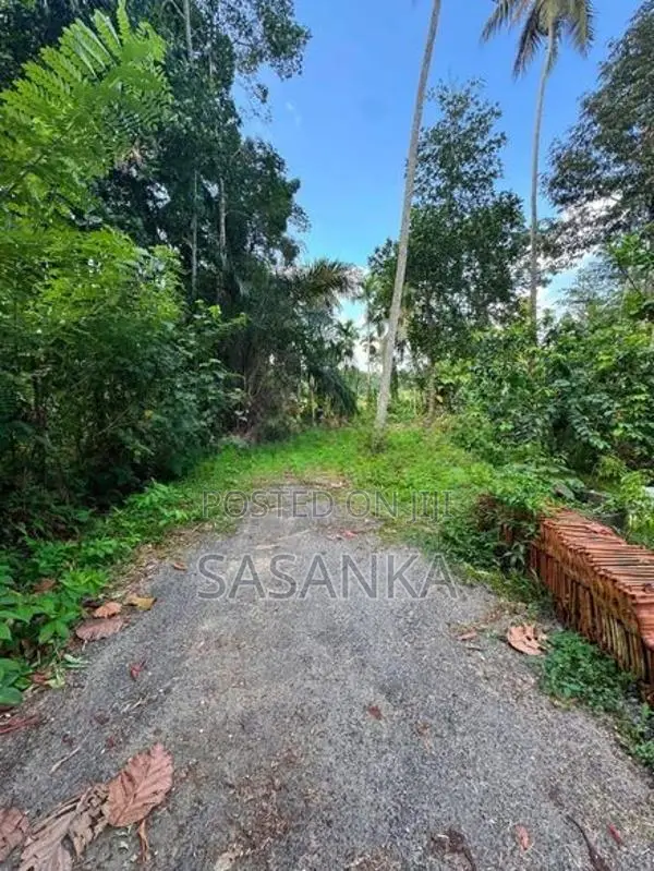 හෝමාගම දහම් මාවත පර්චස් 22.5 විකිණීමට ඇත