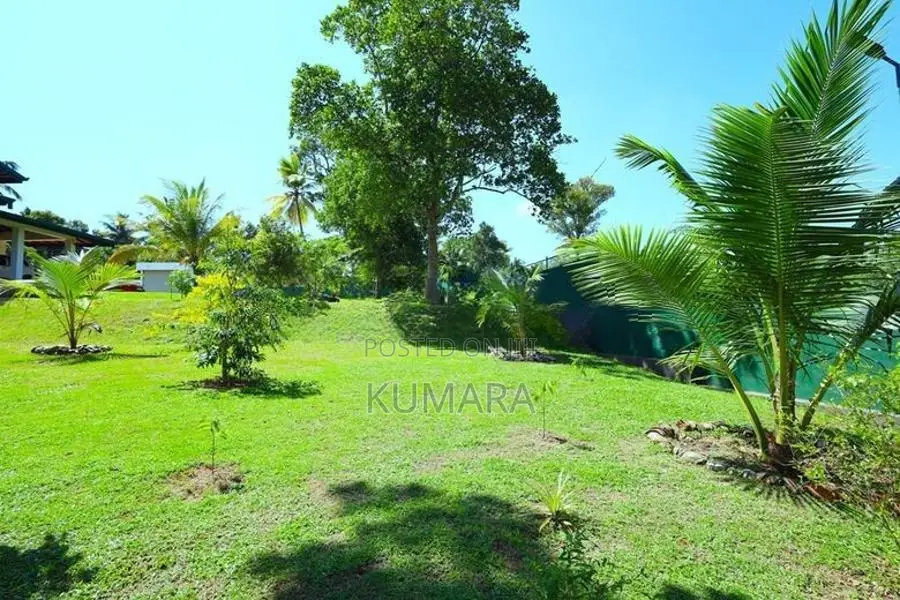 Facing Paddy field |Eco-friendly House for sale in Bandaragama