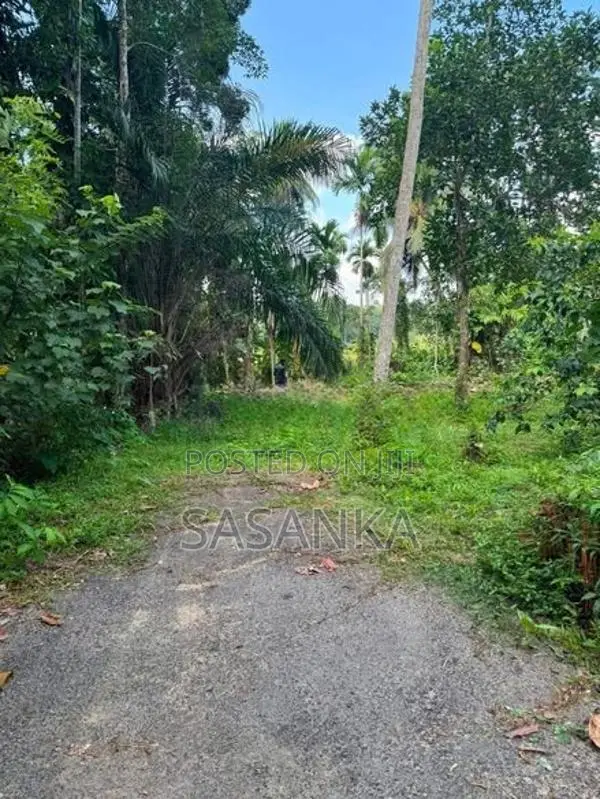 හෝමාගම දහම් මාවත පර්චස් 22.5 විකිණීමට ඇත