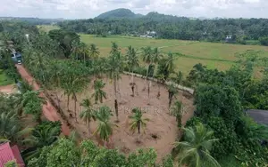 Valuable Residential Land Blocks for Sale in Weliweriya