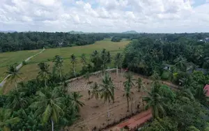 Valuable Residential Land Blocks for Sale in Weliweriya