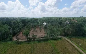 Valuable Residential Land Blocks for Sale in Weliweriya