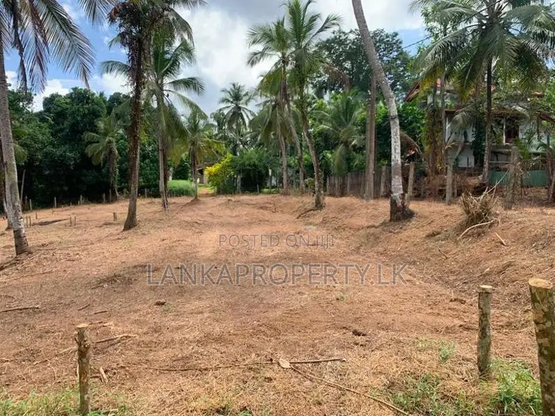 Valuable Residential Land Blocks for Sale in Weliweriya