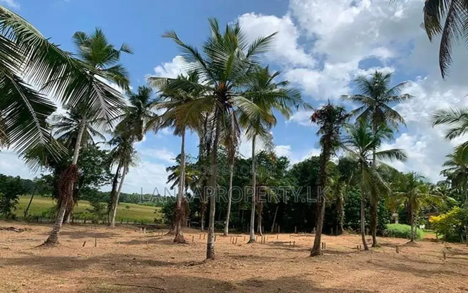 Valuable Residential Land Blocks for Sale in Weliweriya
