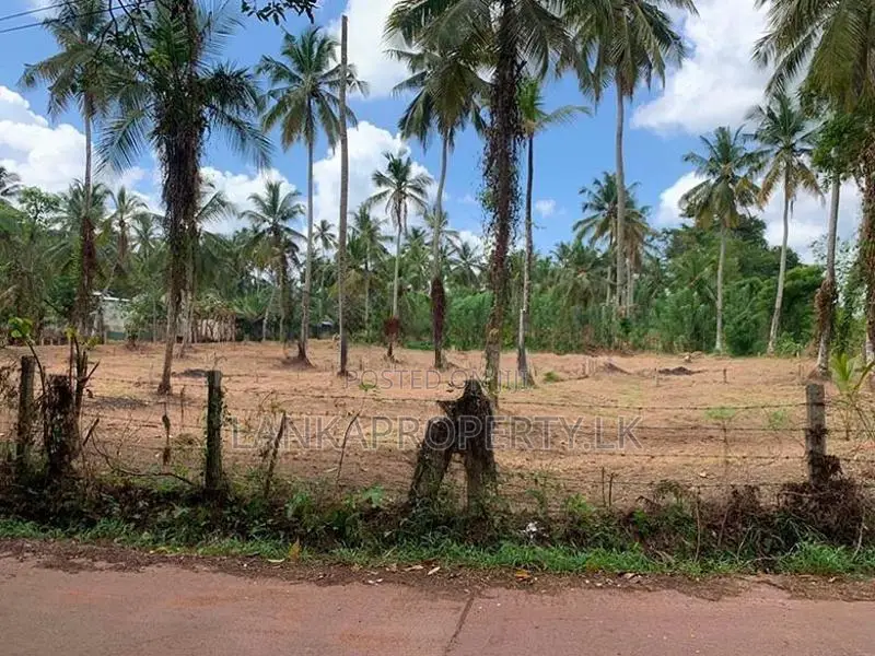 Valuable Residential Land Blocks for Sale in Weliweriya