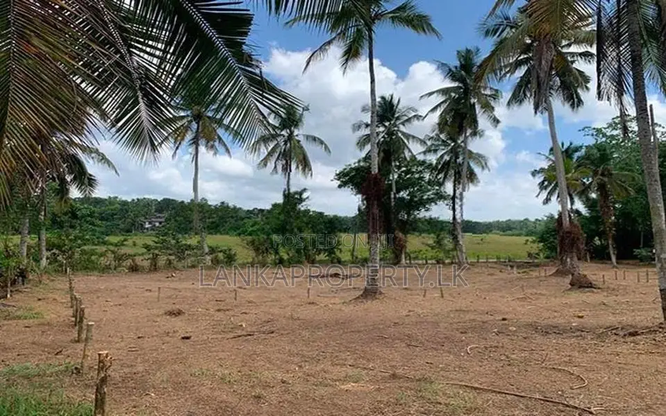 Valuable Residential Land Blocks for Sale in Weliweriya