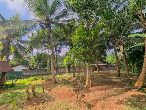 Land for Sale in Gampaha - YS 16303