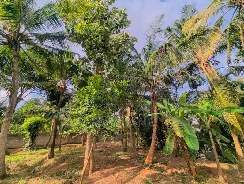 Land for Sale in Gampaha - YS 16303