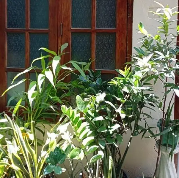 House for Sale in Borella