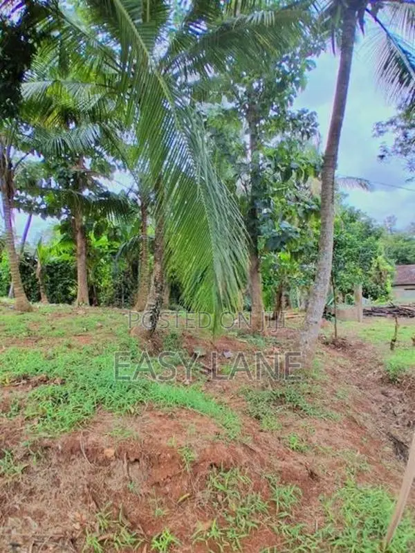 Land for Sale in Gampaha - YS 16303