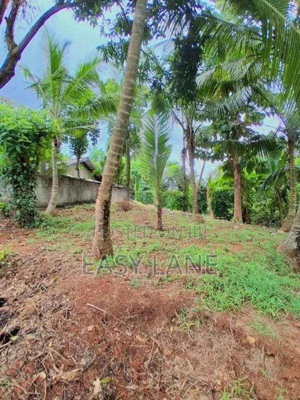 Land for Sale in Gampaha - YS 16303