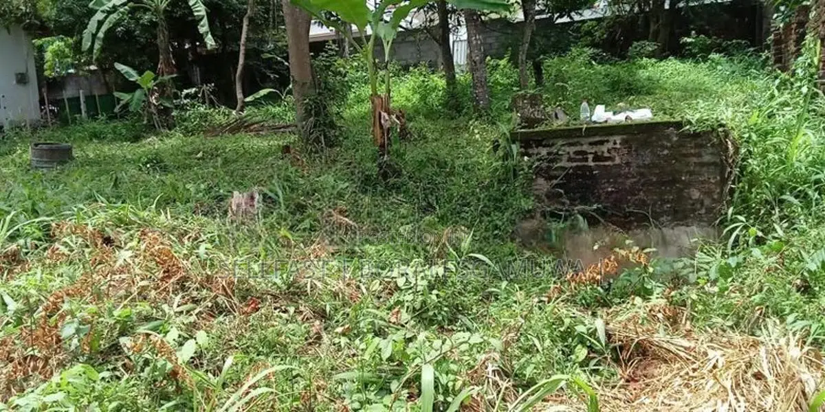 7 P Prime Land for Sale in Maharagama