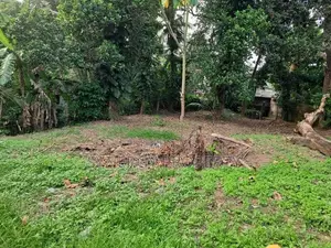 20 Perch Land for Sale in Kiribathgoda (LA-GAMKD-157)