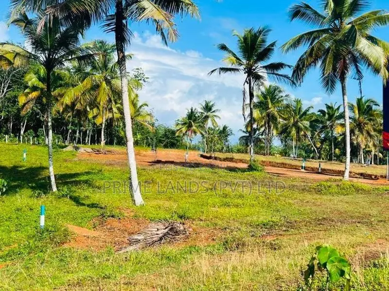 අලුත්ගම ඉඩමක්