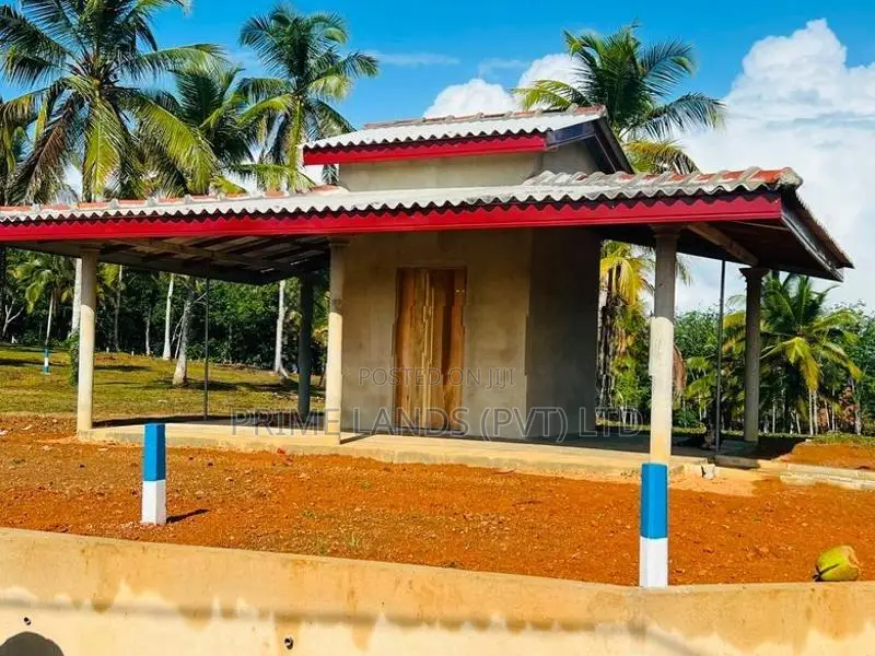 අලුත්ගම ඉඩමක්