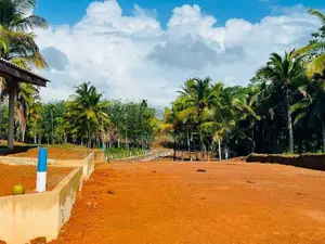 නේවාසික බිම් කොටස් අලුත්ගමින්
